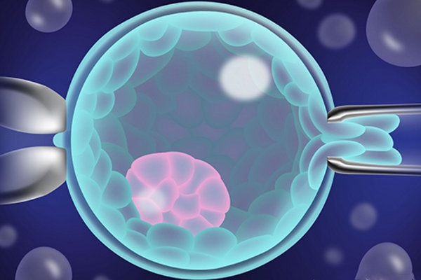 菏泽试管婴儿助孕机构-经过3代试管婴儿筛选的胚胎仍然充满了染色体变异和不确定性